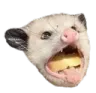 possumhuh