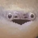 Sacabambaspis