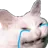 Cattocry cattocry Discord Emoji