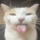 silly
