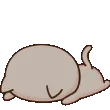 CAT_5nyaa_Ded
