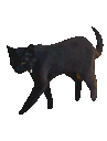 matrixcat Discord Emoji
