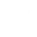 Wii