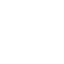 DS