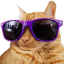 ec3082cdd2f04a8687cacd5684b65aec