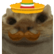 sisi
