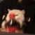 shakygatto