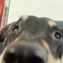 e_pubby