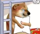 sed_doggy