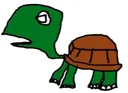 STEVO_TURTLE