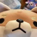 plzdog