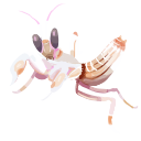 comehereiamanormalorchid Discord emoji