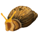 snol Discord emoji