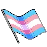Z_PrideTrans