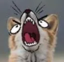 Fox_Angry_Scream