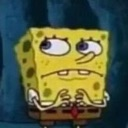 spongeumm
