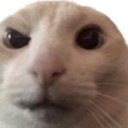 hmm Discord emoji