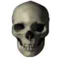 skull_3d skull_3d