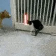 CatSaber CatSaber