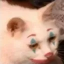 CatClown