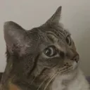 side_eye