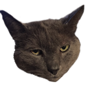 Simba Discord emoji