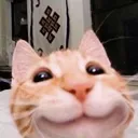 Cat Smile cat_smile Discord Emoji