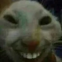 Rehehehehe Discord Emoji