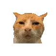 HUH