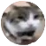 misterball