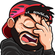 lebouseuhFACEPALM2 Discord emoji