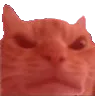 madcatstaredeluxe