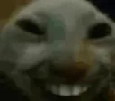 xdd