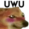 uwu uwu