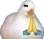 duckpray