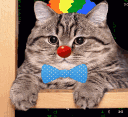 Clowncat clowncat Discord Emoji