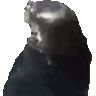 sealspin