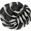 zebra Discord emoji