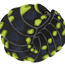 gestroi Discord emoji
