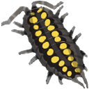 hassi Discord emoji