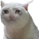 sadcat Discord Emoji