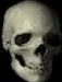 skullemoji