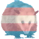 possum_trans