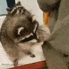 ICaSneakySteal