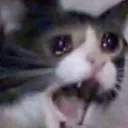 neko_cri