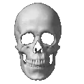 skullongfr