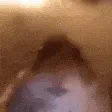 huh