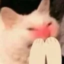 AHEEMHEEM