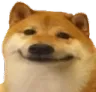 DogeSmil