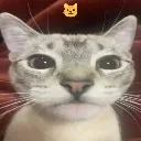 frown frown